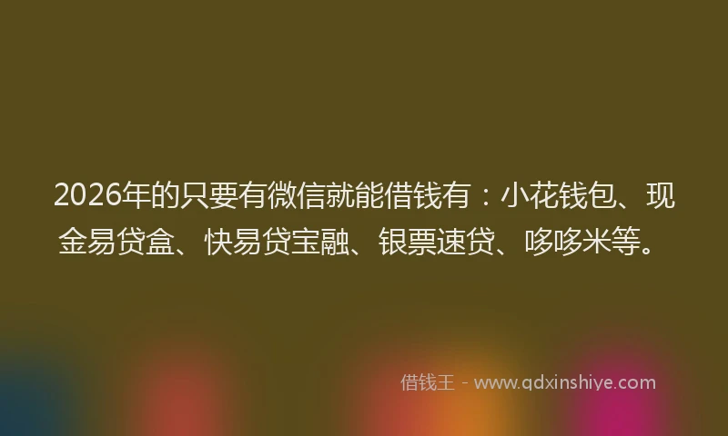2026年的只要有微信就能借钱有:小花钱包、现金易贷盒、快易贷宝融、银票速贷、哆哆米等。