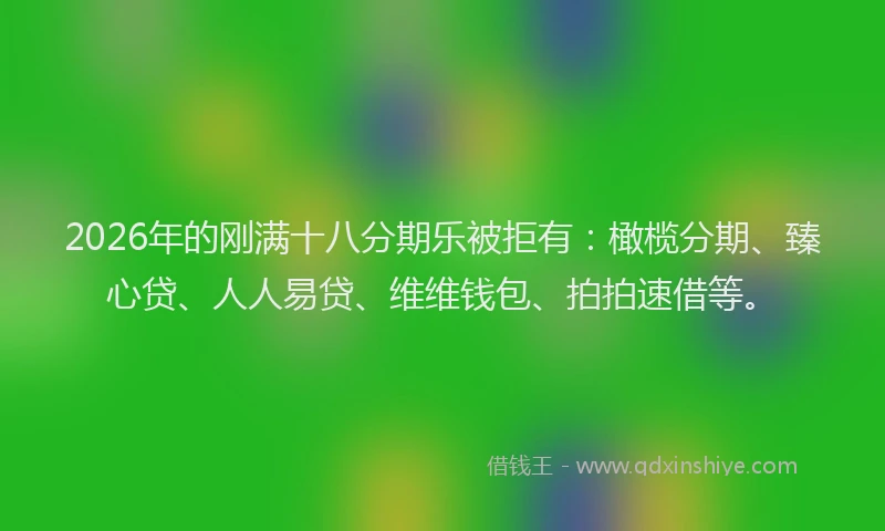 2026年的刚满十八分期乐被拒有：橄榄分期、臻心贷、人人易贷、维维钱包、拍拍速借等。