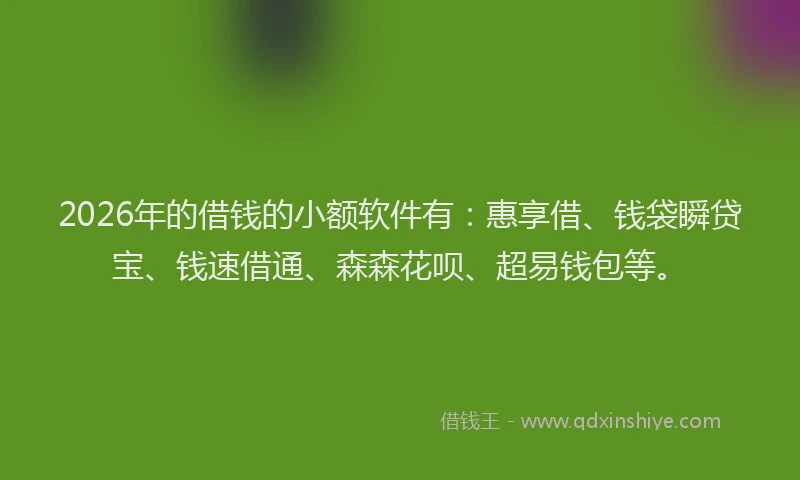 2026年的借钱的小额软件有：惠享借、钱袋瞬贷宝、钱速借通、森森花呗、超易钱包等。