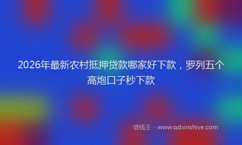 2026年最新农村抵押贷款哪家好下款,罗列五个高炮口子秒下款