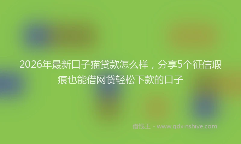 2026年最新口子猫贷款怎么样，分享5个征信瑕疵也能借网贷轻松下款的口子