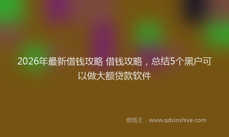 2026年最新借钱攻略 借钱攻略,总结5个黑户可以做大额贷款软件