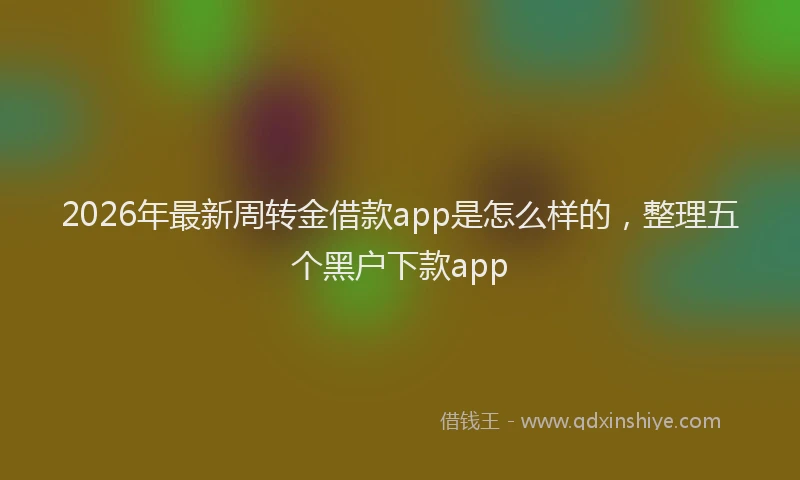 2026年最新周转金借款app是怎么样的，整理五个黑户下款app
