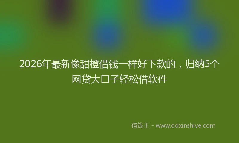 2026年最新像甜橙借钱一样好下款的，归纳5个网贷大口子轻松借软件