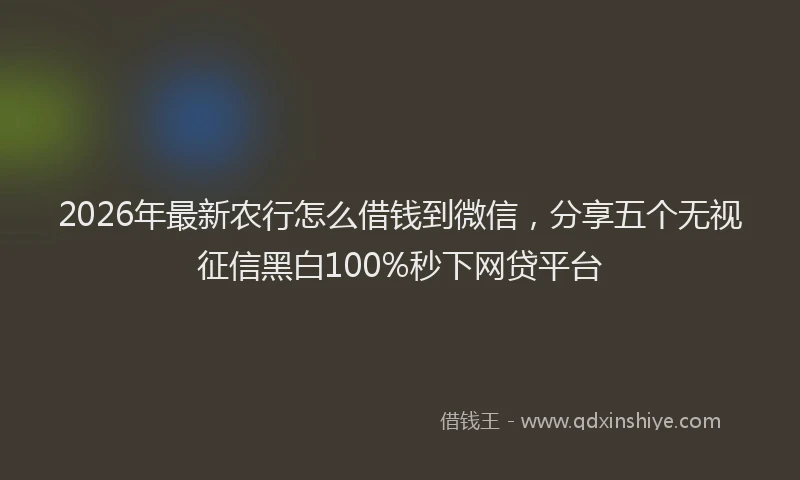 2026年最新农行怎么借钱到微信,分享五个无视征信黑白100%秒下网贷平台