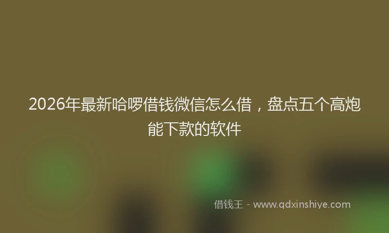 2026年最新哈啰借钱微信怎么借,盘点五个高炮能下款的软件