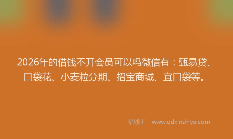 2026年的借钱不开会员可以吗微信有:甄易贷、口袋花、小麦粒分期、招宝商城、宜口袋等。