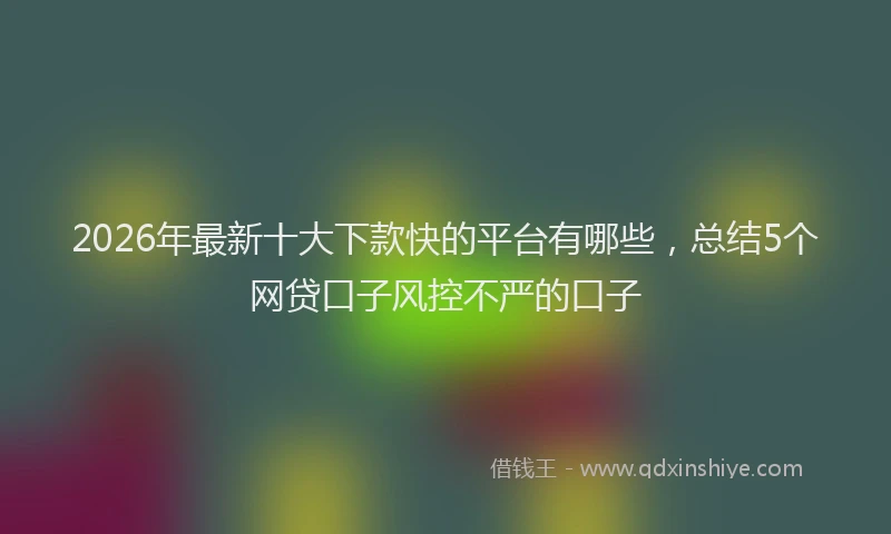 2026年最新十大下款快的平台有哪些,总结5个网贷口子风控不严的口子