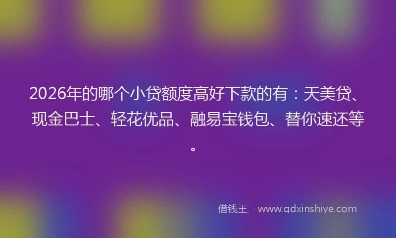 2026年的哪个小贷额度高好下款的有:天美贷、现金巴士、轻花优品、融易宝钱包、替你速还等。