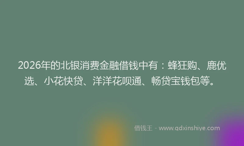 2026年的北银消费金融借钱中有:蜂狂购、鹿优选、小花快贷、洋洋花呗通、畅贷宝钱包等。