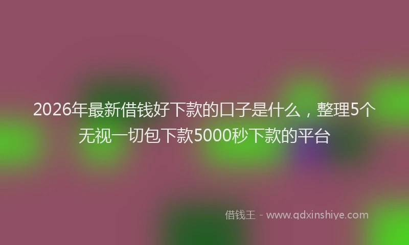 2026年最新借钱好下款的口子是什么，整理5个无视一切包下款5000秒下款的平台