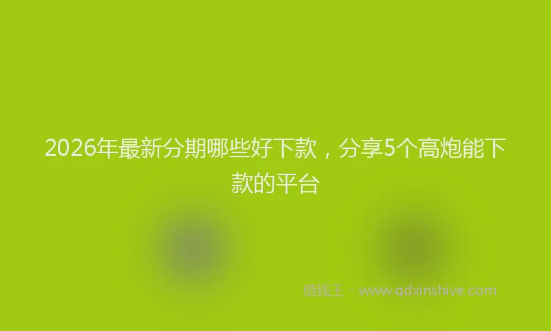 2026年最新分期哪些好下款,分享5个高炮能下款的平台