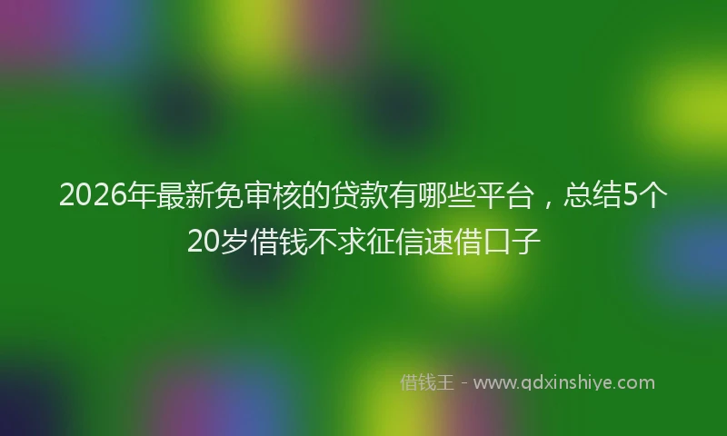 2026年最新免审核的贷款有哪些平台,总结5个20岁借钱不求征信速借口子