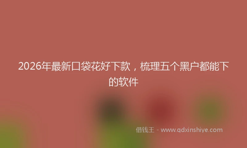 2026年最新口袋花好下款,梳理五个黑户都能下的软件