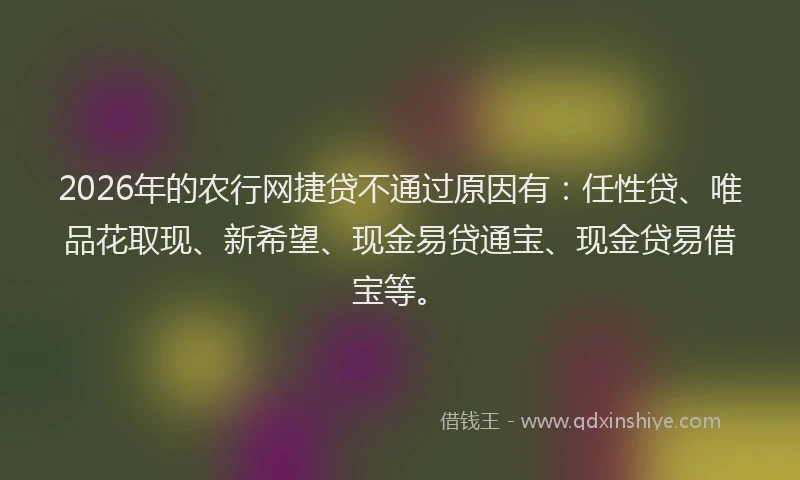 2026年的农行网捷贷不通过原因有：任性贷、唯品花取现、新希望、现金易贷通宝、现金贷易借宝等。