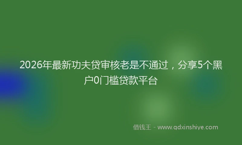 2026年最新功夫贷审核老是不通过，分享5个黑户0门槛贷款平台