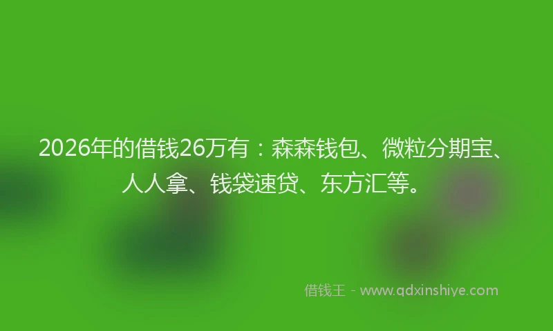 2026年的借钱26万有:森森钱包、微粒分期宝、人人拿、钱袋速贷、东方汇等。