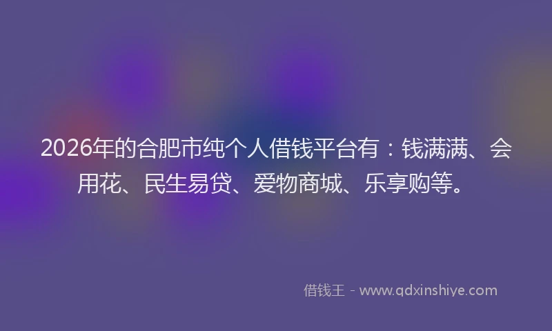 2026年的合肥市纯个人借钱平台有:钱满满、会用花、民生易贷、爱物商城、乐享购等。