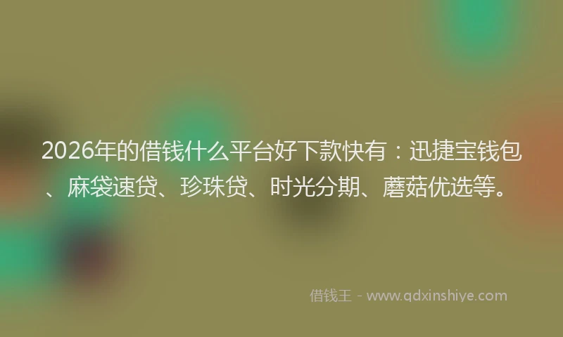 2026年的借钱什么平台好下款快有:迅捷宝钱包、麻袋速贷、珍珠贷、时光分期、蘑菇优选等。