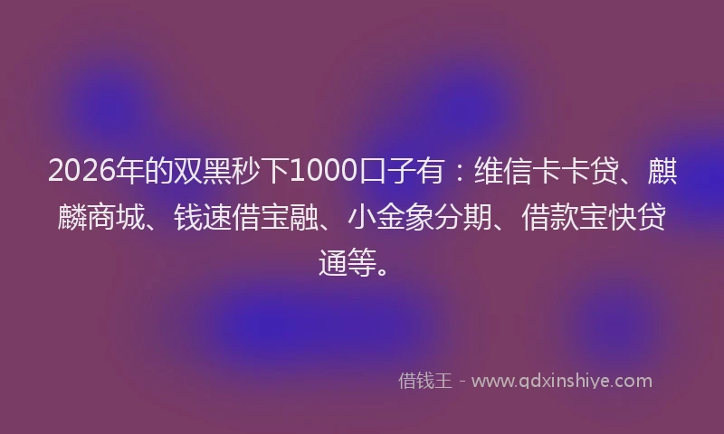 2026年的双黑秒下1000口子有:维信卡卡贷、麒麟商城、钱速借宝融、小金象分期、借款宝快贷通等。