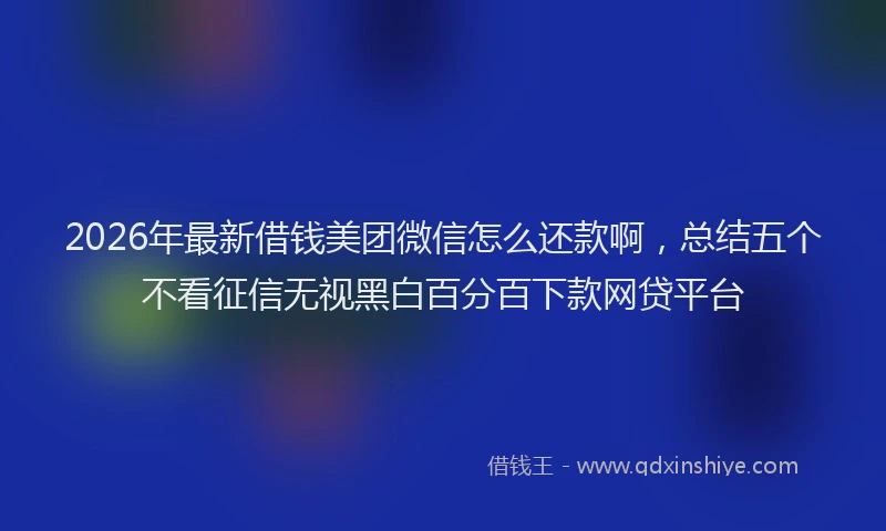 2026年最新借钱美团微信怎么还款啊，总结五个不看征信无视黑白百分百下款网贷平台