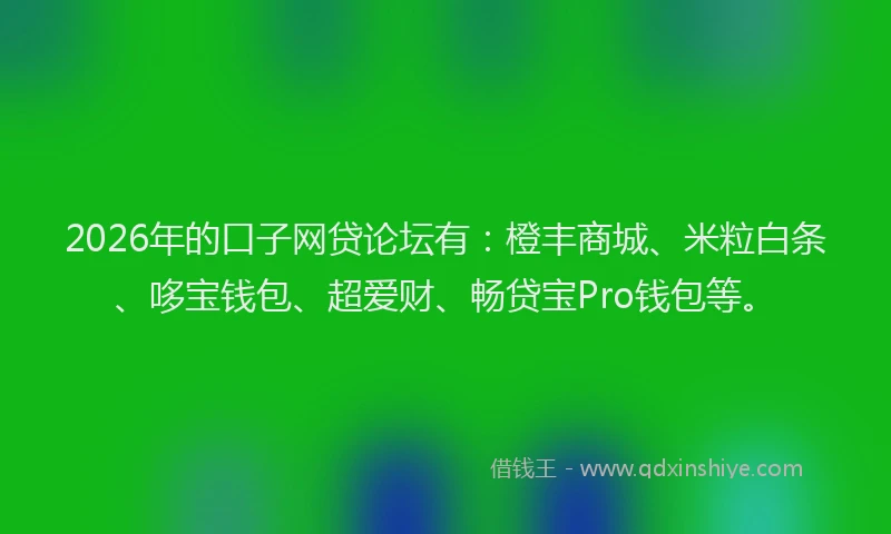 2026年的口子网贷论坛有：橙丰商城、米粒白条、哆宝钱包、超爱财、畅贷宝Pro钱包等。