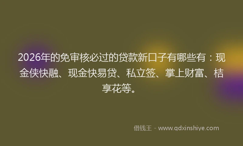 2026年的免审核必过的贷款新口子有哪些有：现金侠快融、现金快易贷、私立签、掌上财富、桔享花等。
