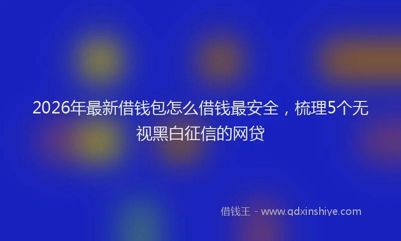 2026年最新借钱包怎么借钱最安全，梳理5个无视黑白征信的网贷