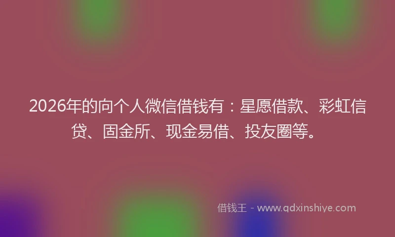 2026年的向个人微信借钱有：星愿借款、彩虹信贷、固金所、现金易借、投友圈等。