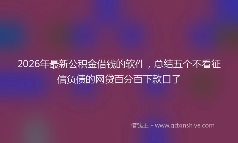 2026年最新公积金借钱的软件，总结五个不看征信负债的网贷百分百下款口子