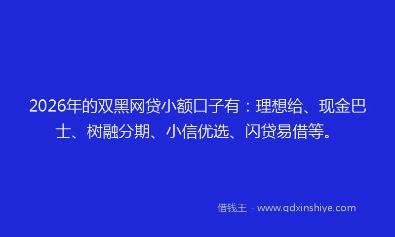 2026年的双黑网贷小额口子有：理想给、现金巴士、树融分期、小信优选、闪贷易借等。