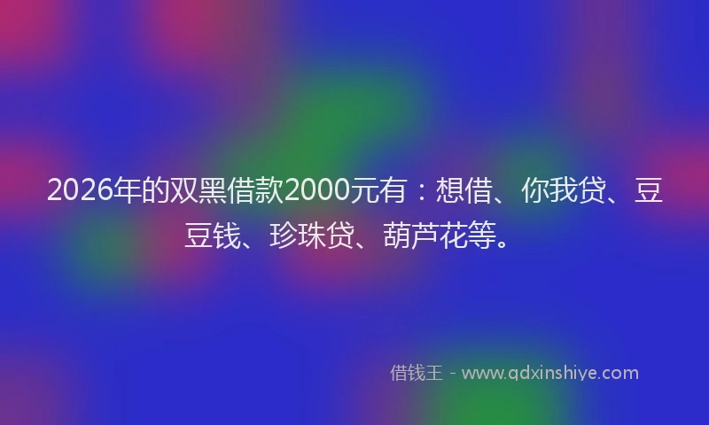 2026年的双黑借款2000元有：想借、你我贷、豆豆钱、珍珠贷、葫芦花等。