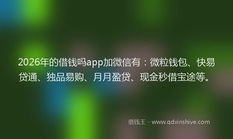2026年的借钱吗app加微信有:微粒钱包、快易贷通、独品易购、月月盈贷、现金秒借宝途等。