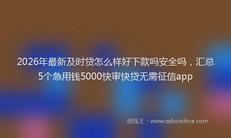 2026年最新及时贷怎么样好下款吗安全吗，汇总5个急用钱5000快审快贷无需征信app