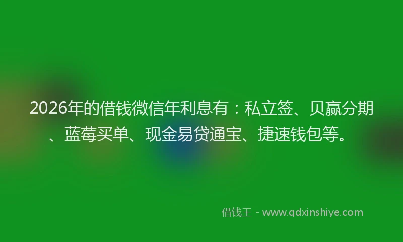 2026年的借钱微信年利息有：私立签、贝赢分期、蓝莓买单、现金易贷通宝、捷速钱包等。