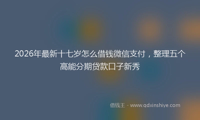 2026年最新十七岁怎么借钱微信支付，整理五个高能分期贷款口子新秀
