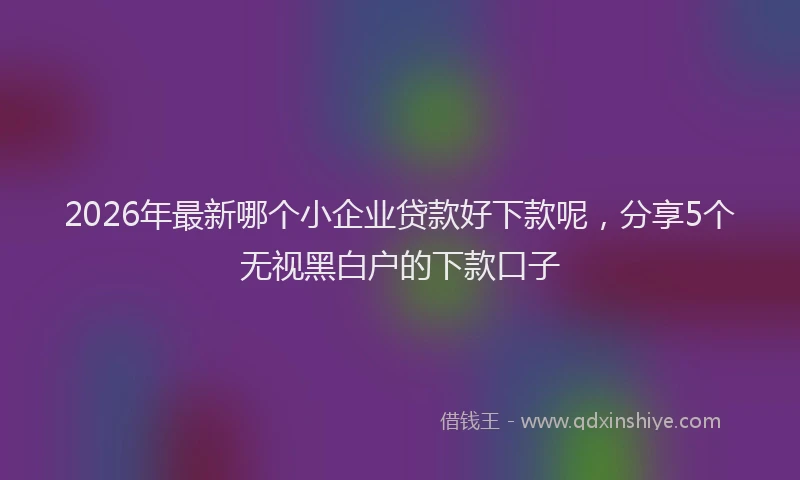 2026年最新哪个小企业贷款好下款呢，分享5个无视黑白户的下款口子