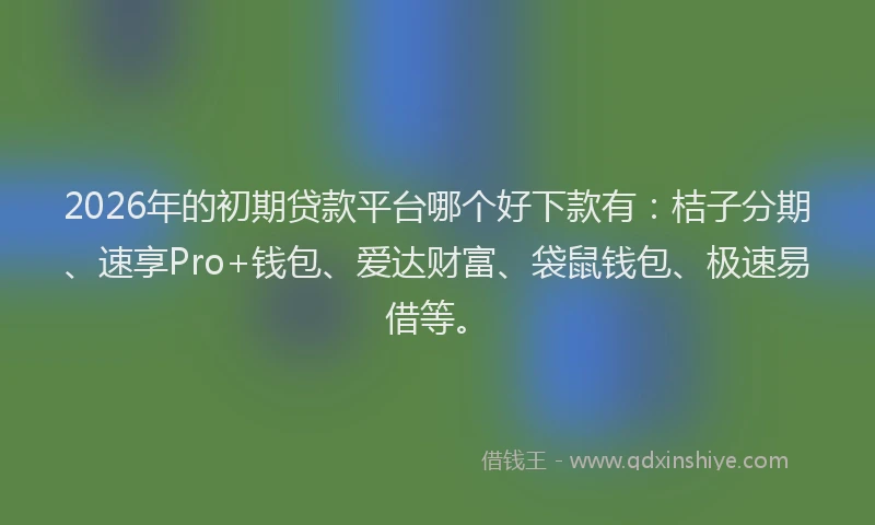 2026年的初期贷款平台哪个好下款有:桔子分期、速享Pro+钱包、爱达财富、袋鼠钱包、极速易借等。