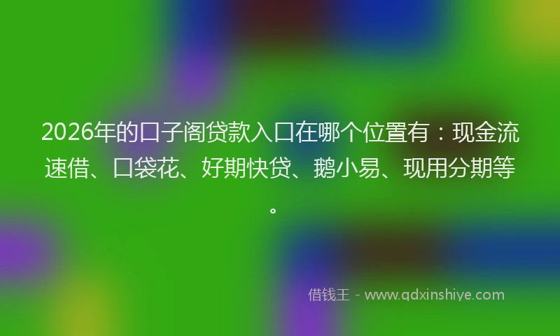 2026年的口子阁贷款入口在哪个位置有:现金流速借、口袋花、好期快贷、鹅小易、现用分期等。