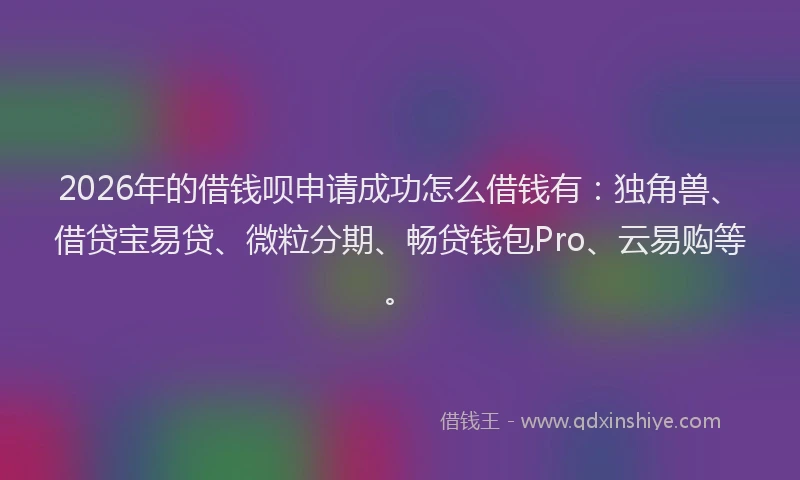 2026年的借钱呗申请成功怎么借钱有:独角兽、借贷宝易贷、微粒分期、畅贷钱包Pro、云易购等。