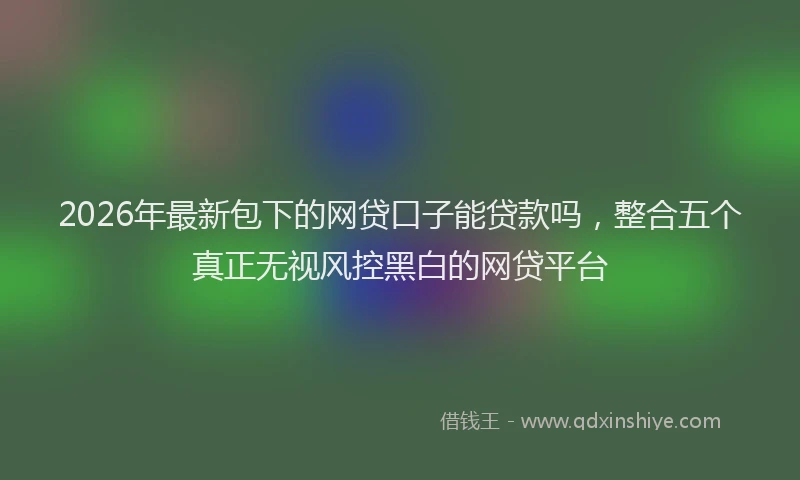 2026年最新包下的网贷口子能贷款吗,整合五个真正无视风控黑白的网贷平台