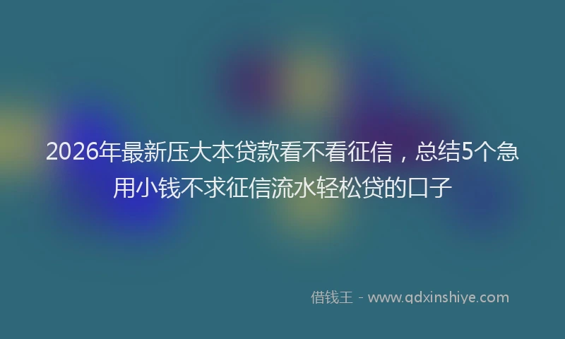 2026年最新压大本贷款看不看征信,总结5个急用小钱不求征信流水轻松贷的口子