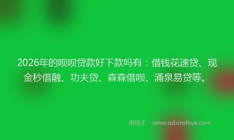 2026年的呗呗贷款好下款吗有：借钱花速贷、现金秒借融、功夫贷、森森借呗、涌泉易贷等。