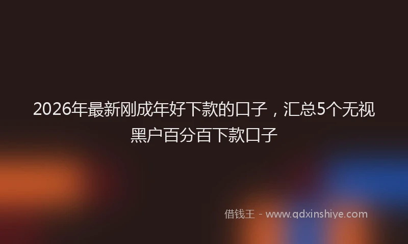2026年最新刚成年好下款的口子，汇总5个无视黑户百分百下款口子