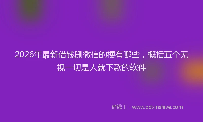 2026年最新借钱删微信的梗有哪些,概括五个无视一切是人就下款的软件