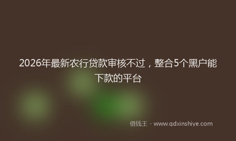 2026年最新农行贷款审核不过,整合5个黑户能下款的平台