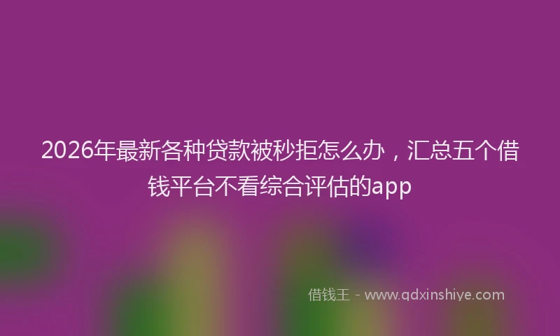 2026年最新各种贷款被秒拒怎么办，汇总五个借钱平台不看综合评估的app
