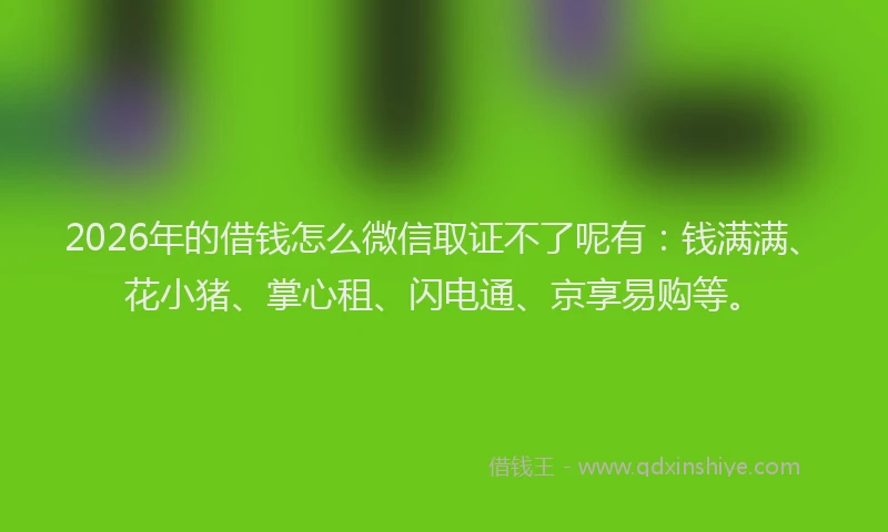 2026年的借钱怎么微信取证不了呢有：钱满满、花小猪、掌心租、闪电通、京享易购等。