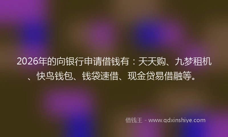 2026年的向银行申请借钱有：天天购、九梦租机、快鸟钱包、钱袋速借、现金贷易借融等。