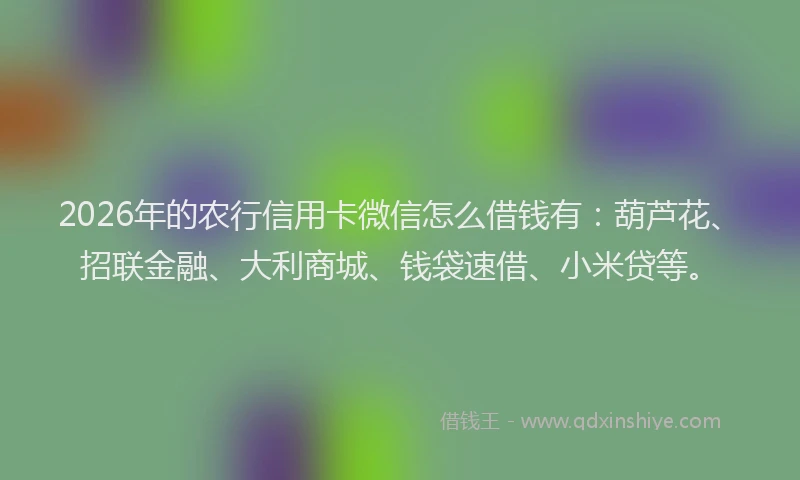 2026年的农行信用卡微信怎么借钱有：葫芦花、招联金融、大利商城、钱袋速借、小米贷等。